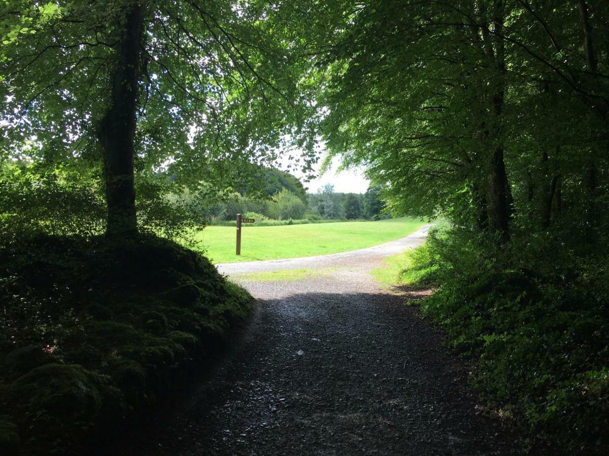 Curraghchase Cottage Kilcornan ภายนอก รูปภาพ